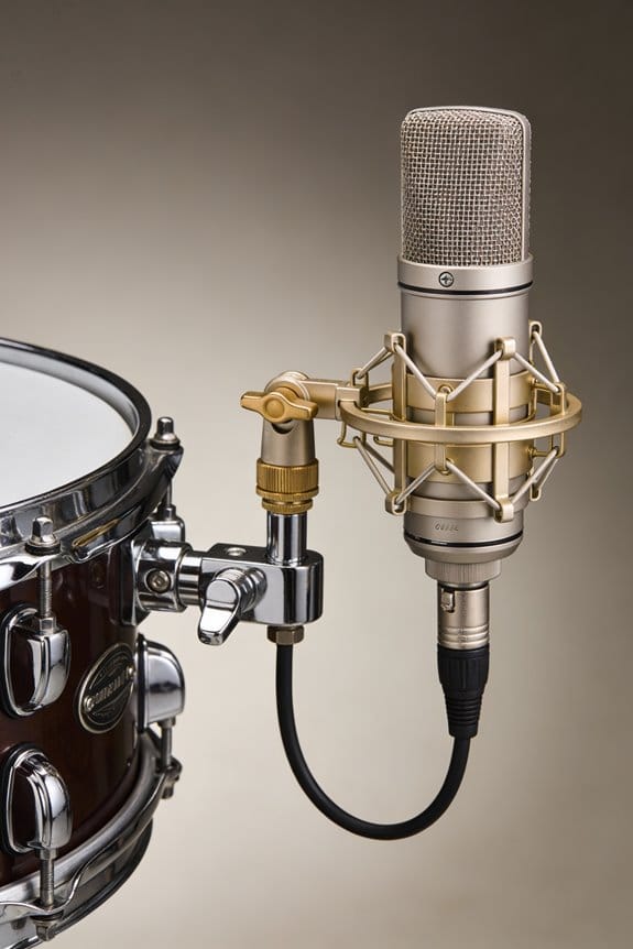 snare drum mic selection criteria